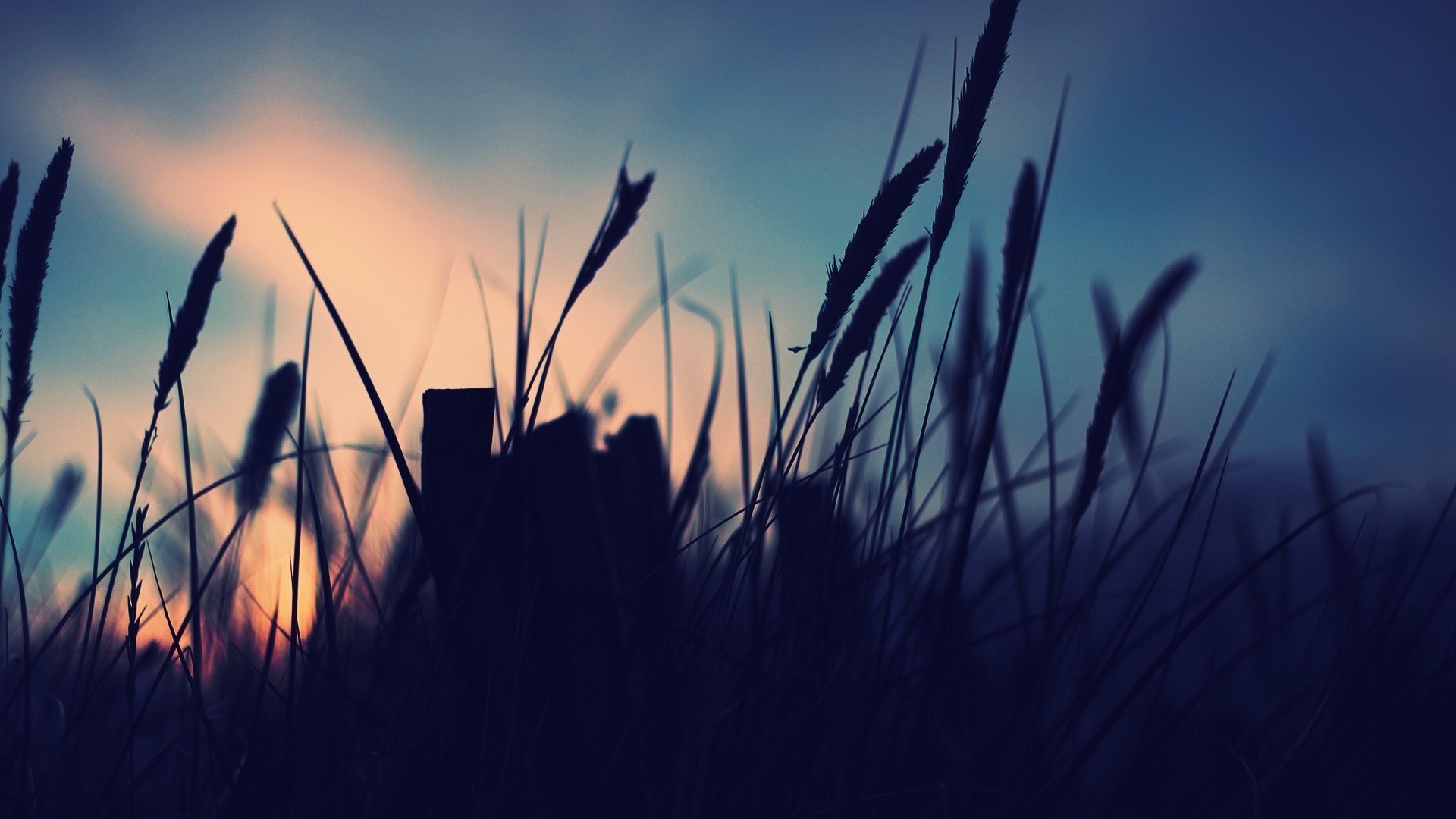 Close-up tekstur produk