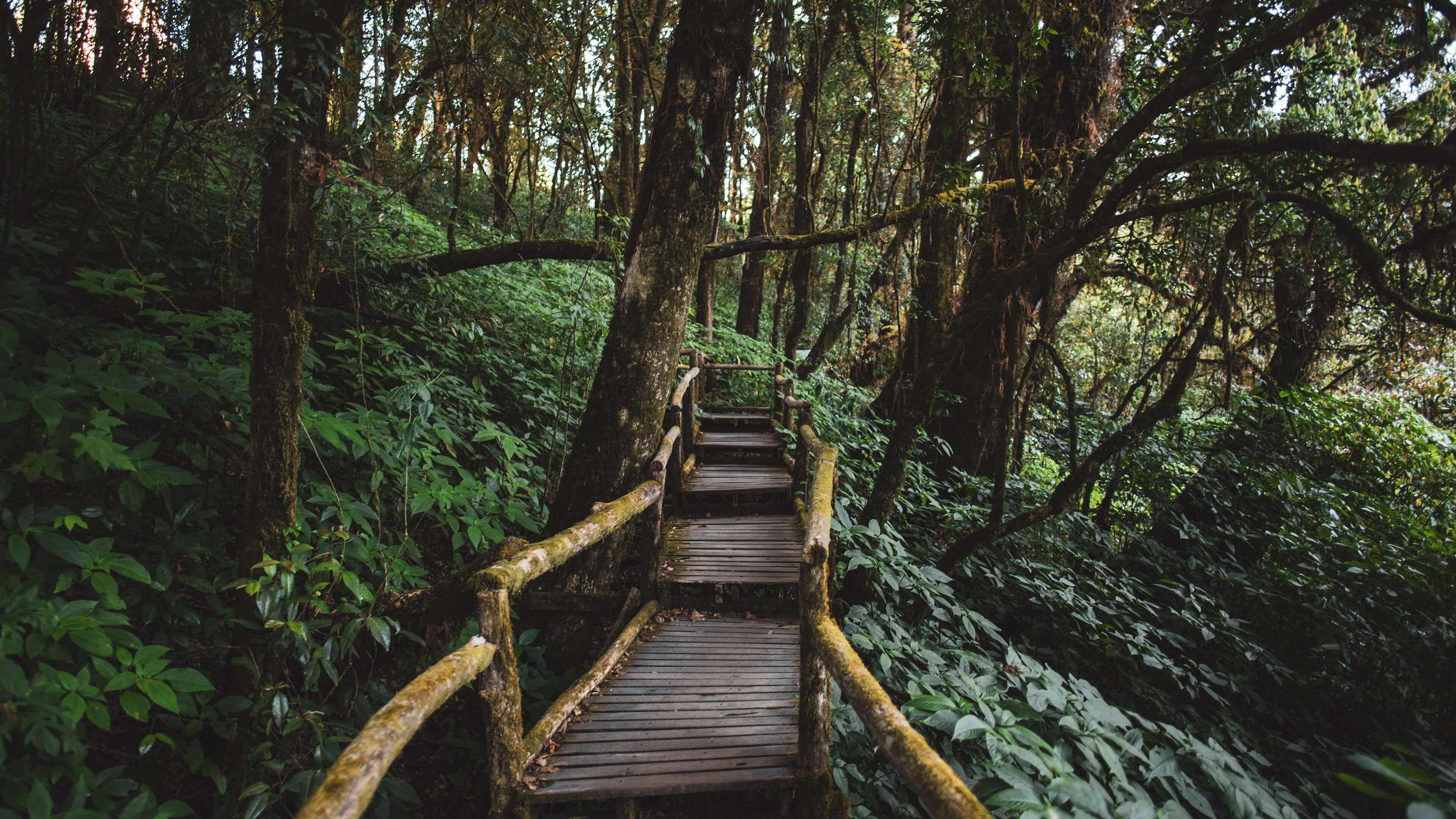 Aplikasi Gedung Olahraga